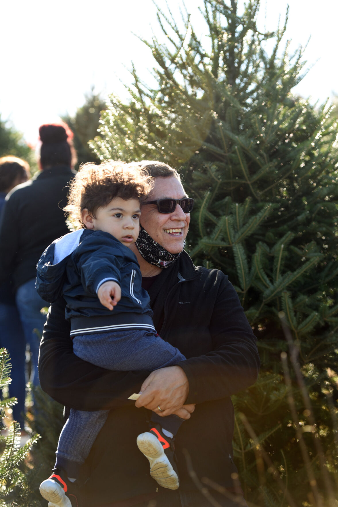 Choose and cut Christmas trees